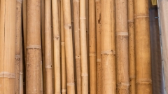 BAMBÚ
