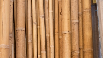 BAMBÚ