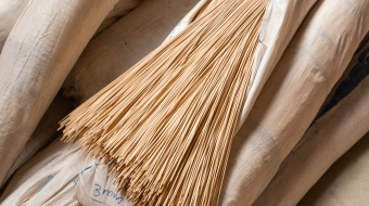 Médula Rattan