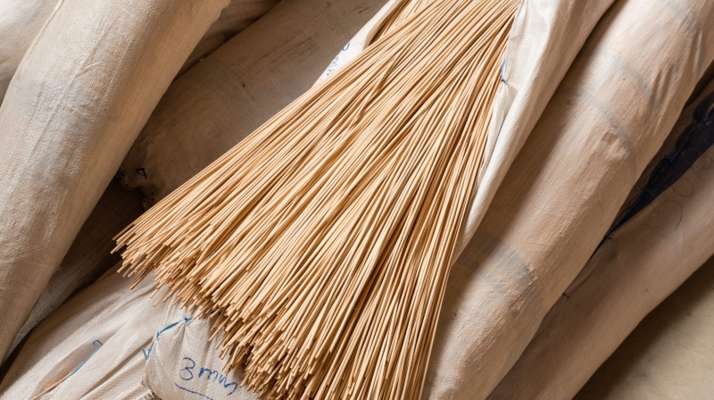 Médula Rattan